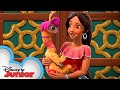 When the Royal Family's Away 👑| Discovering the Magic Within | Elena of Avalor | Disney Junior