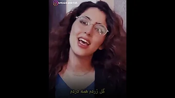 Yashgin Kiani یاشگین کیانی ای یار جانی دوباره برنمی گردد جوانی 