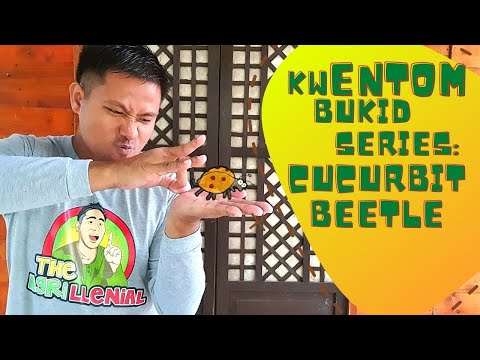 Video: June Beetle Control: Paano Mapupuksa ang June Bugs