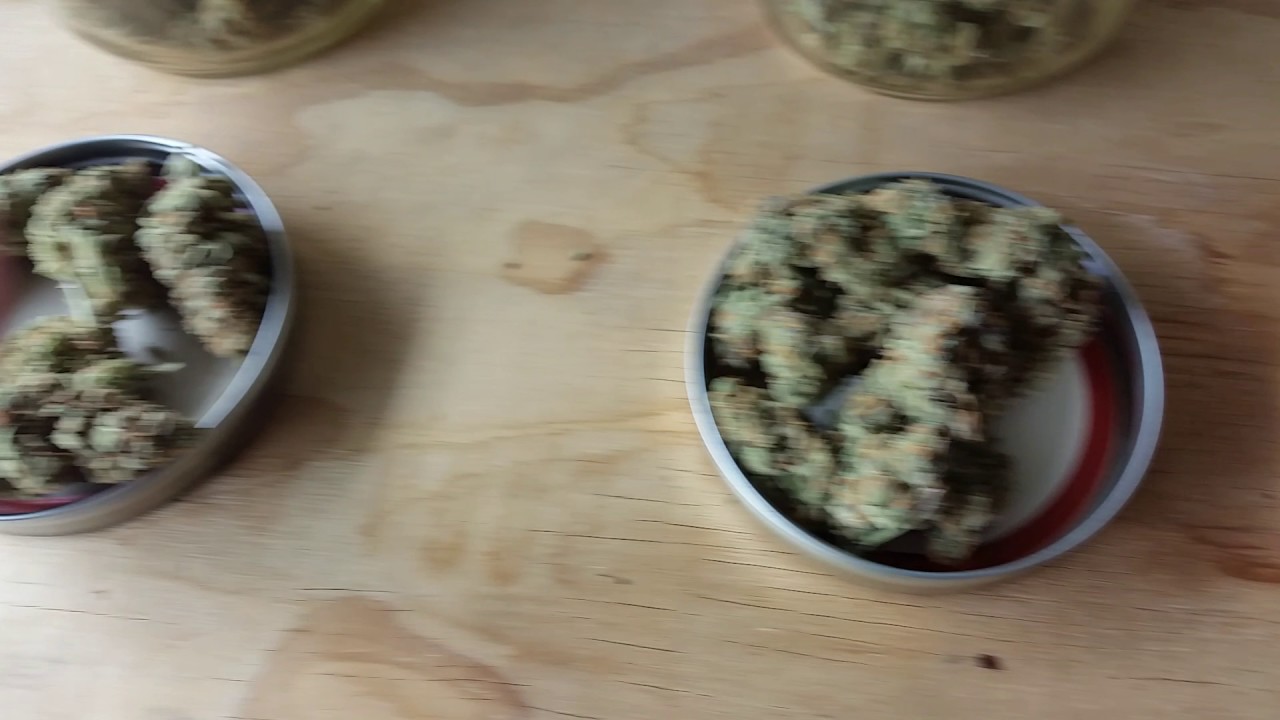 Finished bud shots from last Harvest