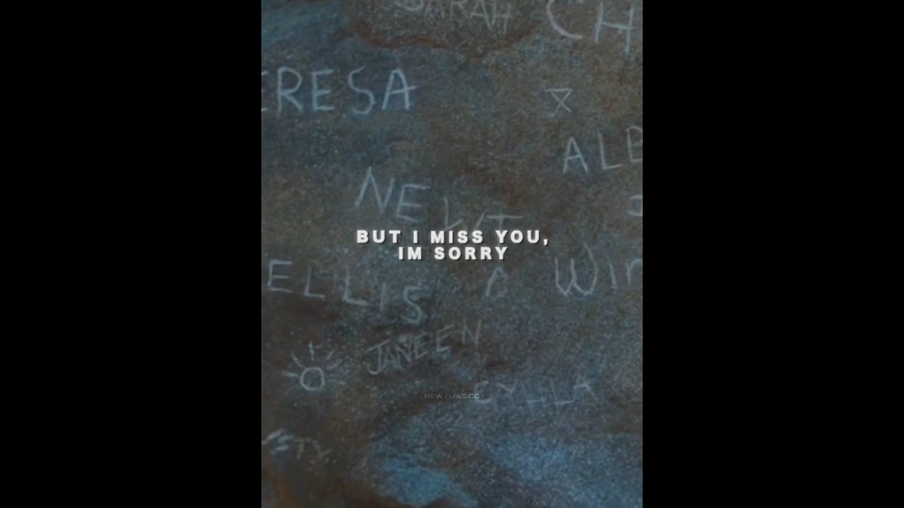 🎵I miss you, I’m sorry🎵newtmas #edit #mazerunner