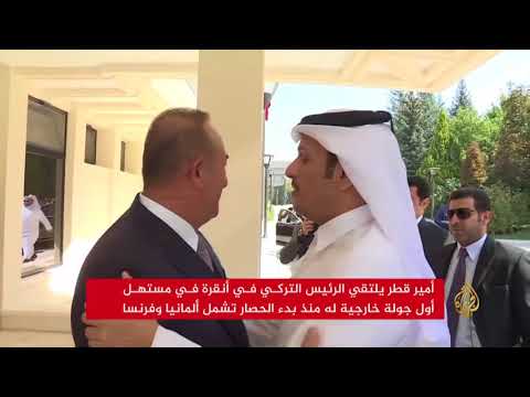 أمير قطر يلتقي الرئيس التركي في أنقرة