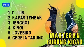 174 🔴 LIVE MURAI BATU MASTERAN CILILIN KINOI KAPAS TEMBAK GACOR DI SIANG HARI || MURAI JUARA