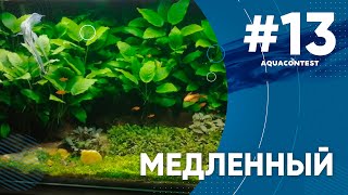 Медленный травник #Aquacontest