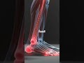 Mobility starts with the basics