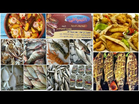 جولة مختلفة من نوعها فلوج من محل اسماك الدمياطي للمأكولات البحرية ومن داخل المطبخ المنصورة