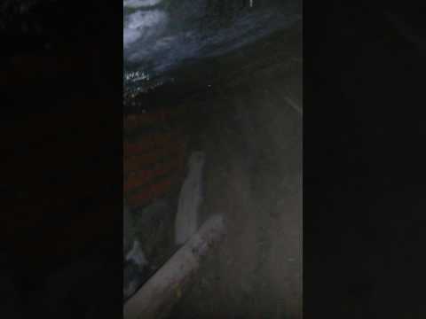 Смотрите мгтс куда нам приходится лазить ради ваших копее которые платят нам