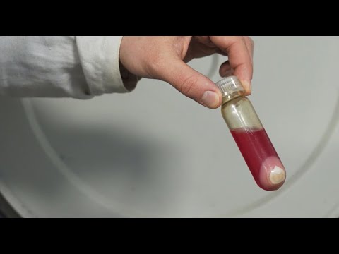 Protein expression and