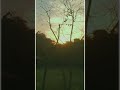 Sunset #shortsvideo #viral #ytshorts #beauty #sunset