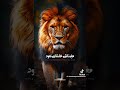 الشجره الي عليها اسد ميجيش تحتيها قرود