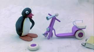 Pingu And His New Purple Scooter ! @Pingu Cartoons For Kids