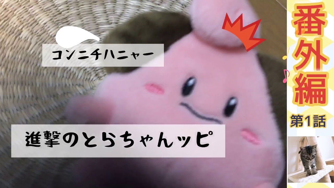 キジトラ子猫ｖｓピィ ポケモン 先住ぬいぐるみの負けられない戦い Youtube