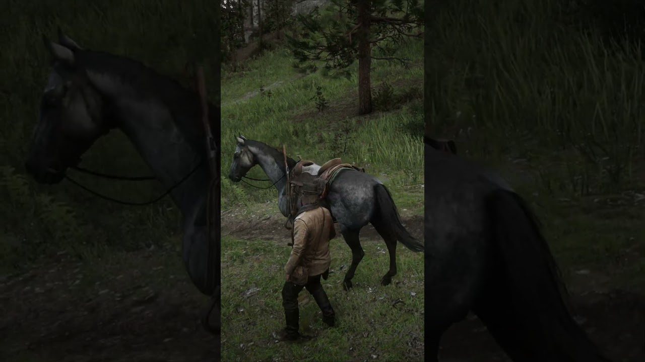 How To Get Hosea's Rolling Block Rifle Early! #rdr2 #reddeadredemption2 #reddeadredemption