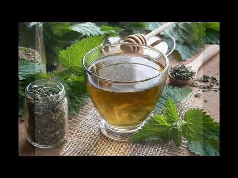 Benefits of Nettle Tea - video from Pahadkisanjeevni