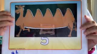 Sally the Camel song