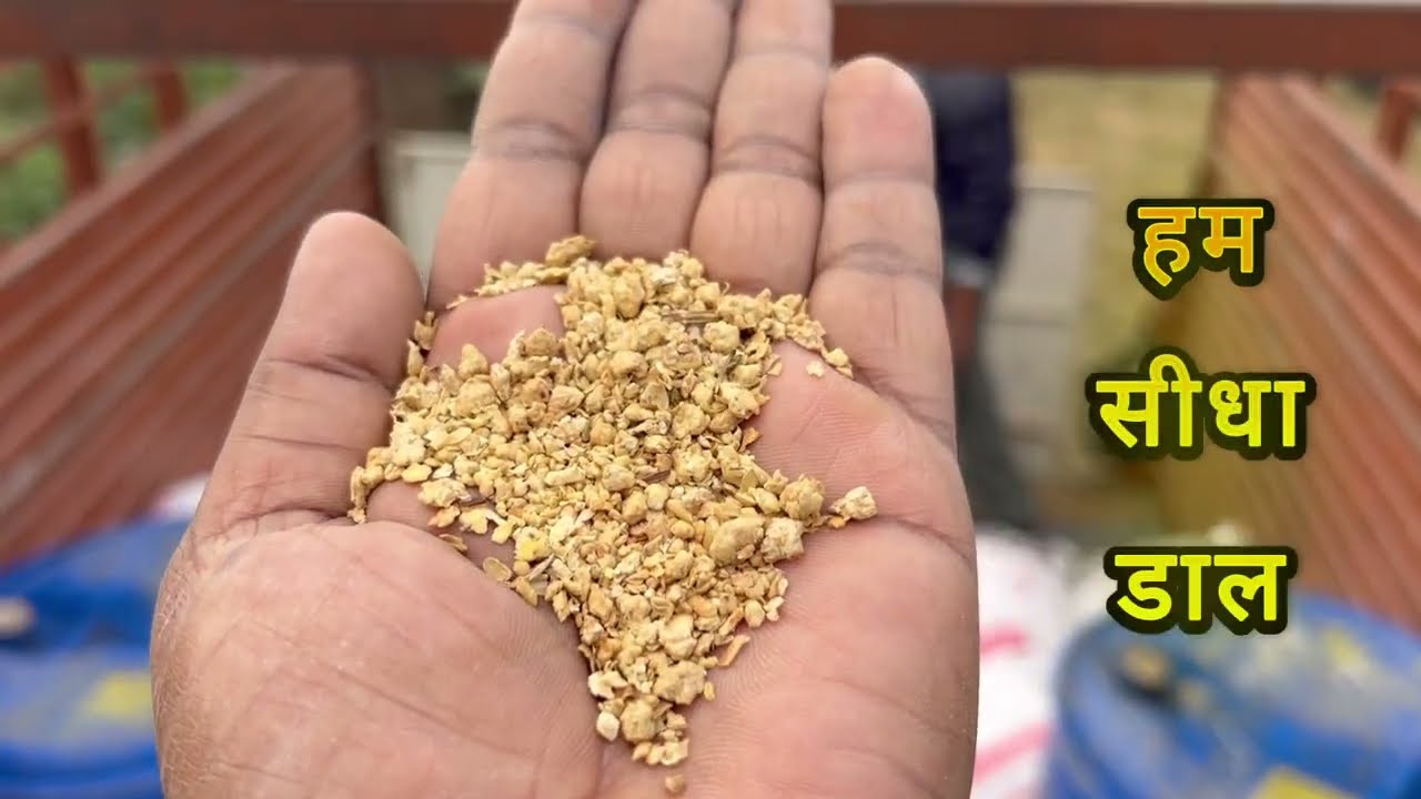 कड़वा सच! अपना दाना नहीं बनाया तो फार्मिंग में नुकसान तय है