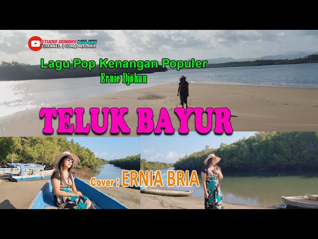 Lagu Pop Kenangan-TELUK BAYUR-(Ernie Djohan)Cover -ERNIA BRIA-Studio DONBERS MALAKA Chanel (SDM) class=