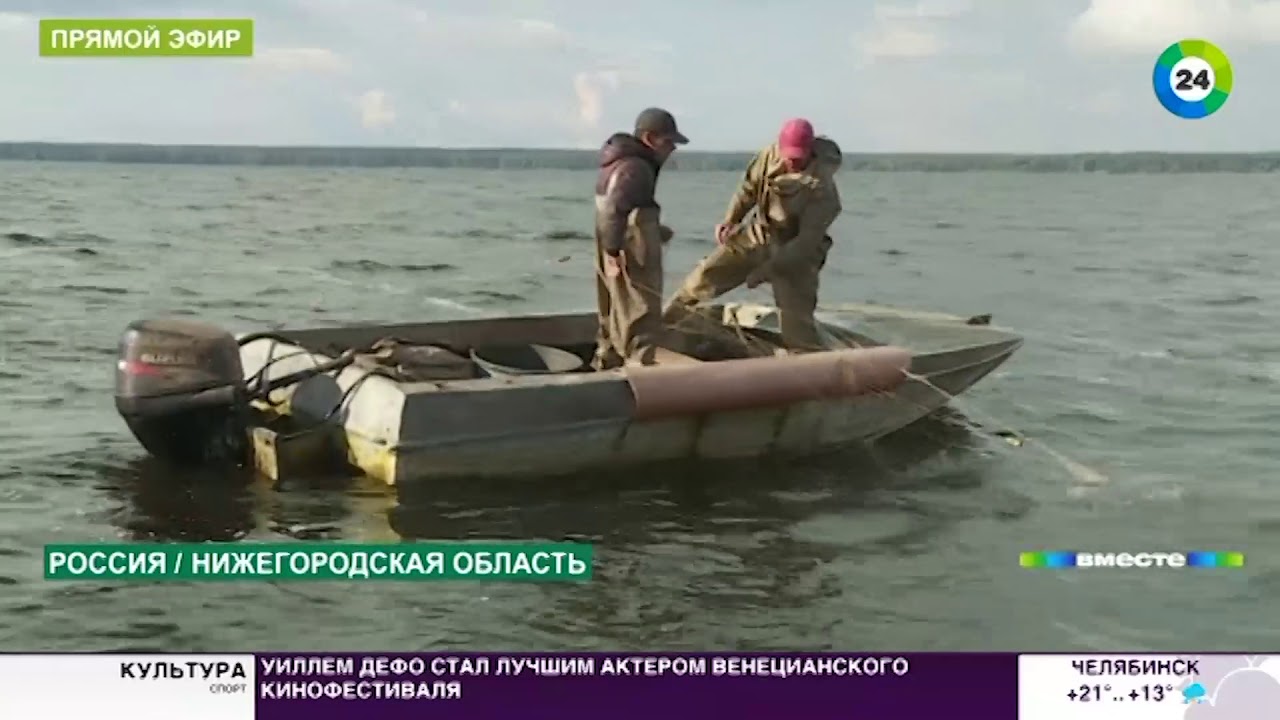Я переплыл волгу