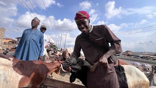 Current Prices Of Ram In Ibadan 2026 From 150K To 1 Million