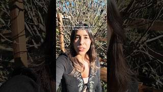 Pottery After Power Loss Update