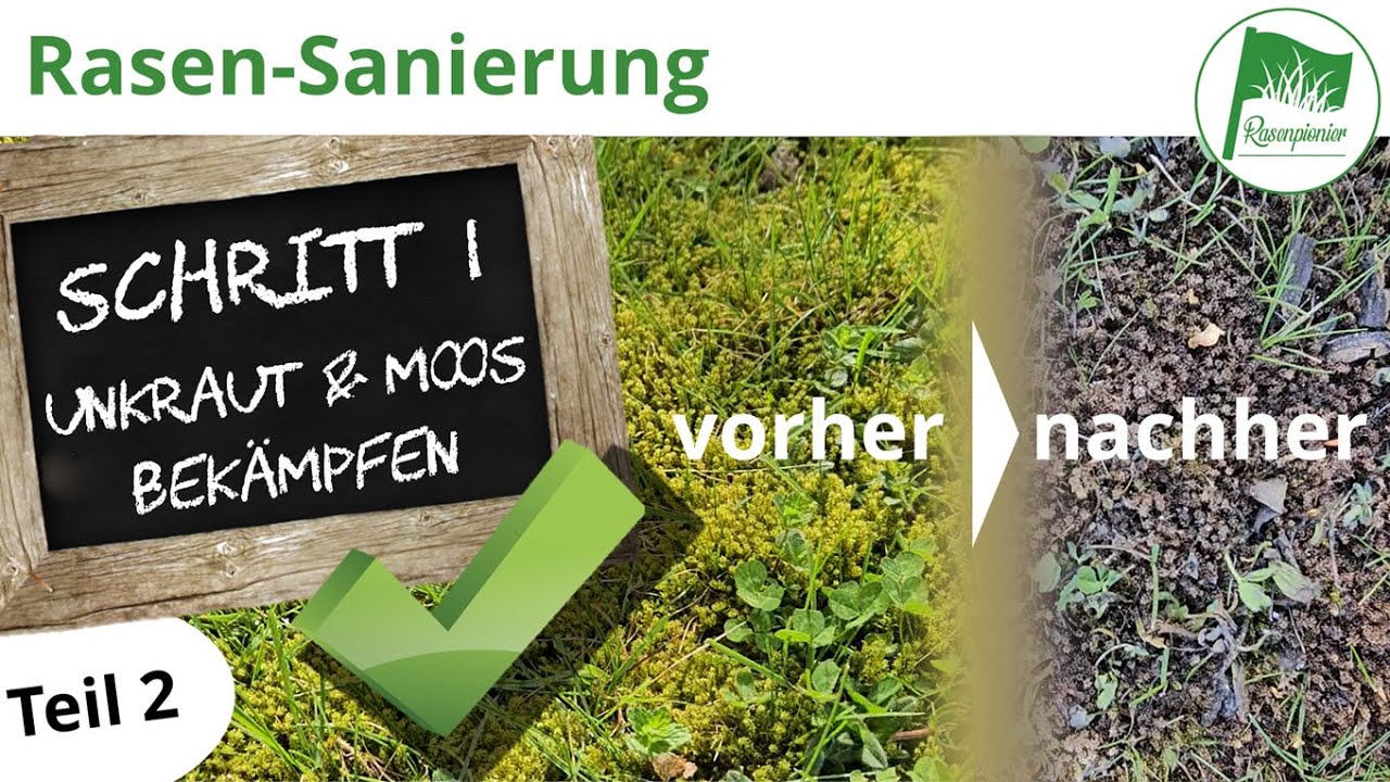 Rasen erneuern | Sanierung Schritt 1 - Unkraut und Moos bekämpfen (Teil 2 - Ergebnis)