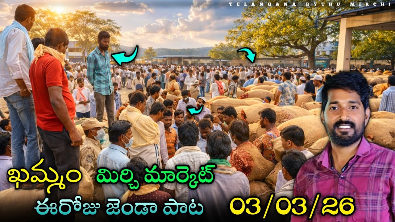 3 March,2026 khammam mirchi market price khammam mirchi market today #dharalu #mirchi 