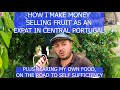 MAKING MONEY SELLING FRUIT ON OUR PORTUGUESE FARM / HOMESTEAD SELF SUFFICIENCY & FARMING IN PORTUGAL