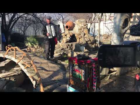 ელგუჯა ომიაძე უკრავს აკორდეონზე