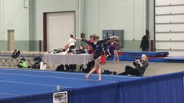 Tim Weaver Floor Routine - Level 8 (2017)