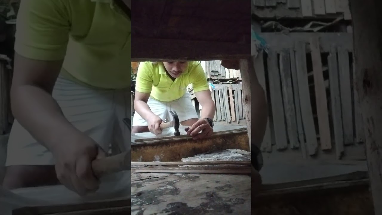 A&E Backyard breeder DIY mini broder. 