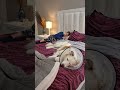 DADDY AM I SAFE SLEEP? UUMM LET ME DOUBLE CHECK!  @Shorts  #youtubeshorts