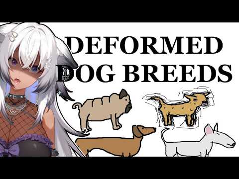 Dog Breed Deformities Schoko React