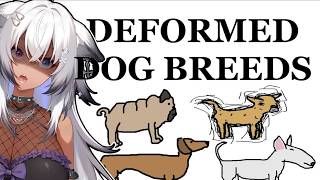 Dog Breed Deformities Schoko React
