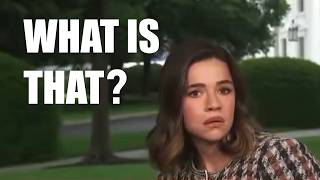 Julie Tsirkin's 'What is that?' White House Meme Goes Viral