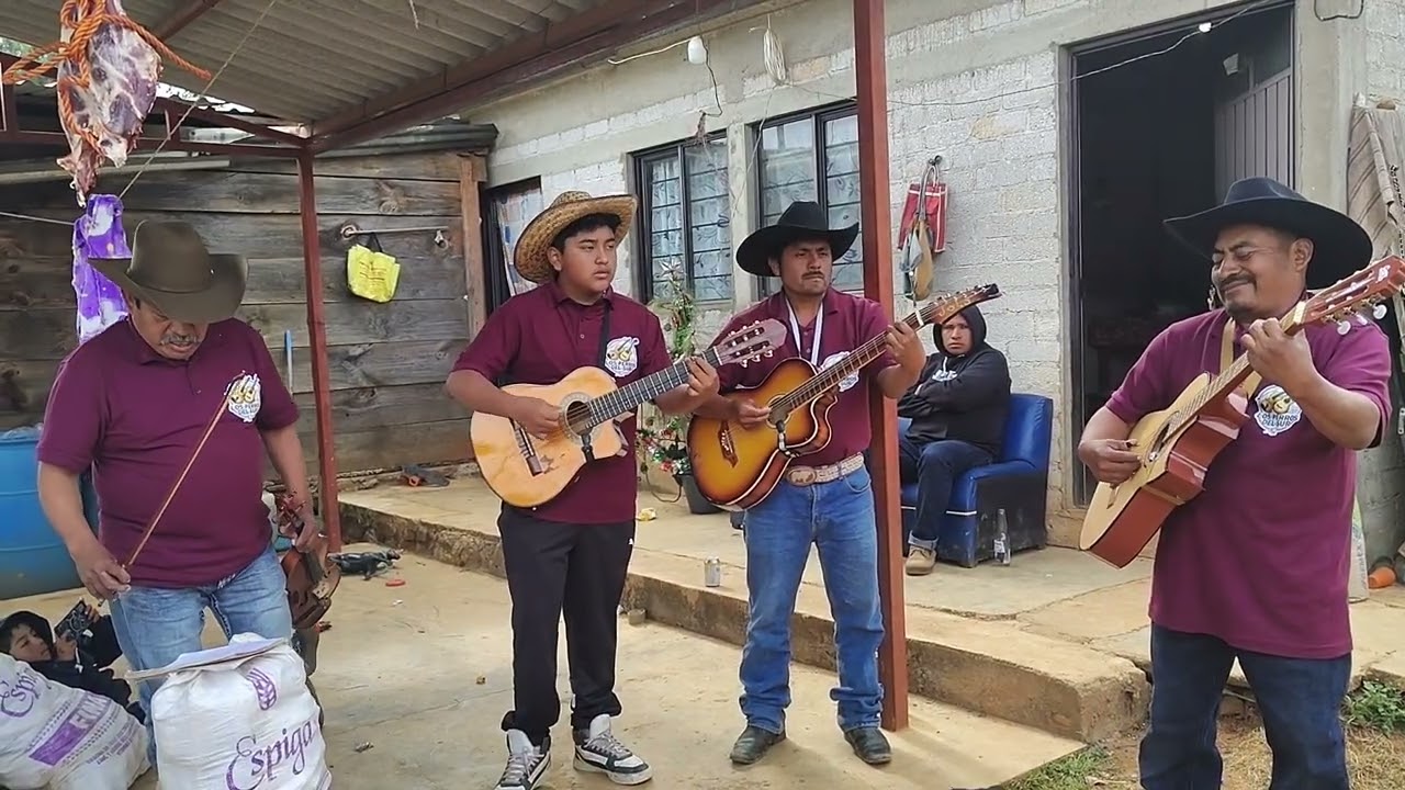 LOS PERROS DEL SUR, SAN JUAN MONTE FLOR...