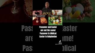 STOP CELEBRATING EASTER 🚫🪺🐣🐇