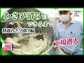 【工場潜入】わさび漬けのできるまで 特選わさび漬編【わさびチャンネル26】