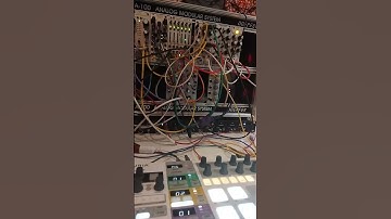 Modular Experience #synth #butifyoucloseyoureyes #synthesizer #pitch  #music