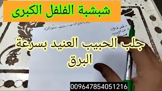 جلب الحبيب العنيد بسرعة البرق بالفلفل الاسود | شبشبة الفلفل الكبرى لجلب الحبيب