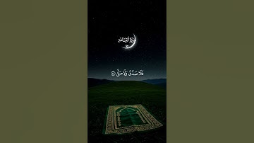 من سورة القيامه من القارئ ماهر المعقيلي 🤍 #quran #اكسبلور #المصحف #قران_كريم