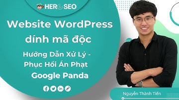 Hướng Dẫn Xử Lý Website Dính Mã Độc & Phục Hồi Sau Án Phạt Google Panda