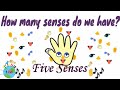 How many senses are there?How Many Senses Do We Have?Five Senses Song | Song for Kids