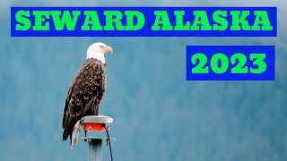 Discovering the Untold Wonders of Seward, Alaska 2023 | Must-See Guide by Home On The Hitch 311 views 8 months ago 7 minutes, 26 seconds
