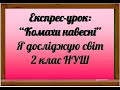 Комахи навесні  Я досліджую світ