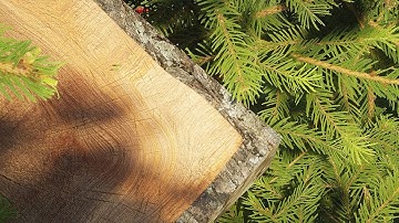 Minecraft 2019 - BEST VISUALS - Stratum 2048x - SEUS PTGI E10 | Ultra Graphics - Ray Tracing - 4K