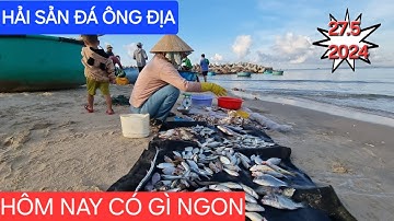 Cuối tuần dạo biển đá ông địa Phan Thiết Mũi Né mua hải sản tươi xanh