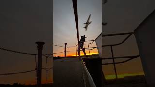 Wang Chung FPV wing launch