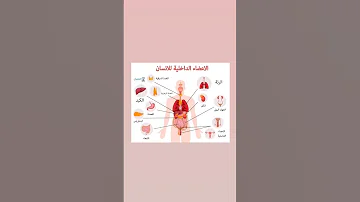 الأعضاء الداخلية لجسم الإنسان طبيب سوريا Dr Mohamad Loay الأسعافات الاوليه الجلطه 