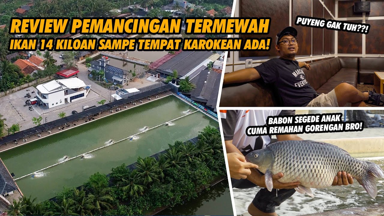 BELOM CAPEK LEMPAR, KAKI UDAH PEGEL DULUAN! PUAS BANGET BONGKAR KEMEWAHAN PEMANCINGAN KOHOD JAYA!