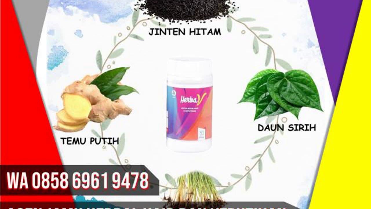 Obat Nyeri Haid Alami Yang Perlu Anda Ketahui Dan Manfaatkan Obat Nyeri Haid Alami Yang Perlu Anda Ketahui Dan Manfaatkan